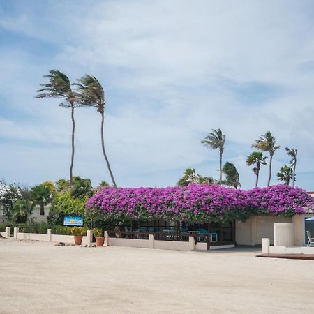 Aruba Beach Villas パームビーチ エクステリア 写真