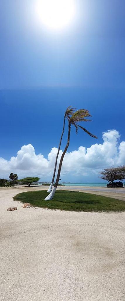 Aruba Beach Villas パームビーチ エクステリア 写真