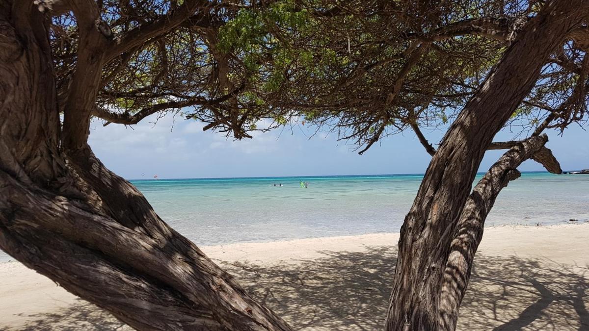 Aruba Beach Villas パームビーチ エクステリア 写真
